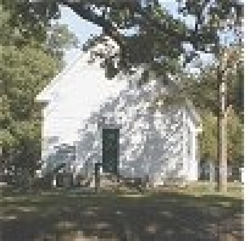 Enon Primitive Baptist Church 